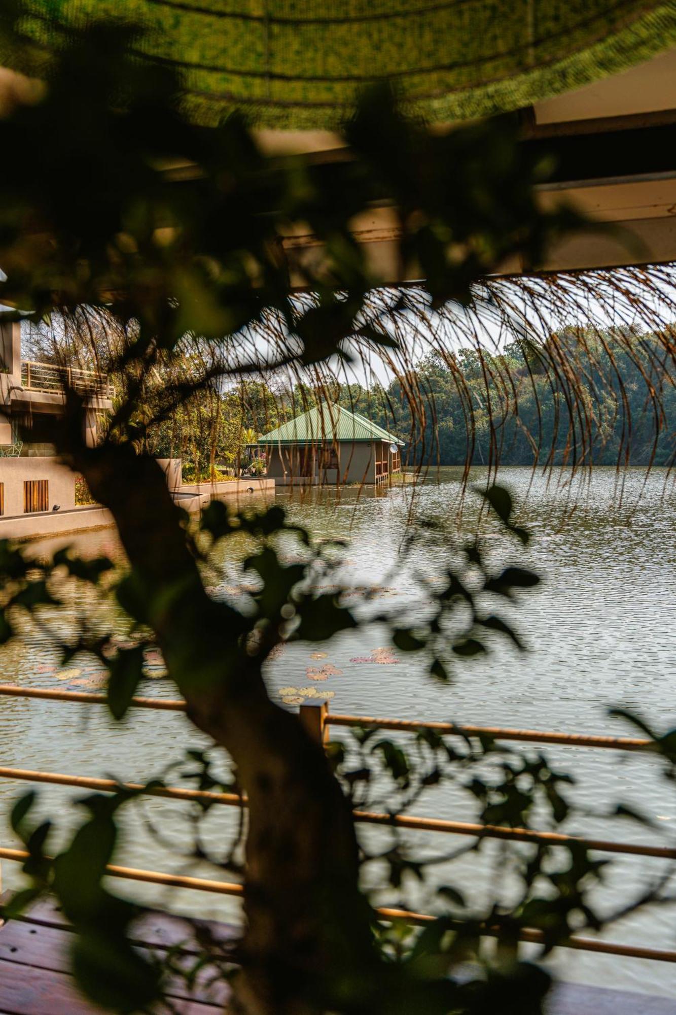 Bambuu Lakeside Lodge Хейзивью Экстерьер фото